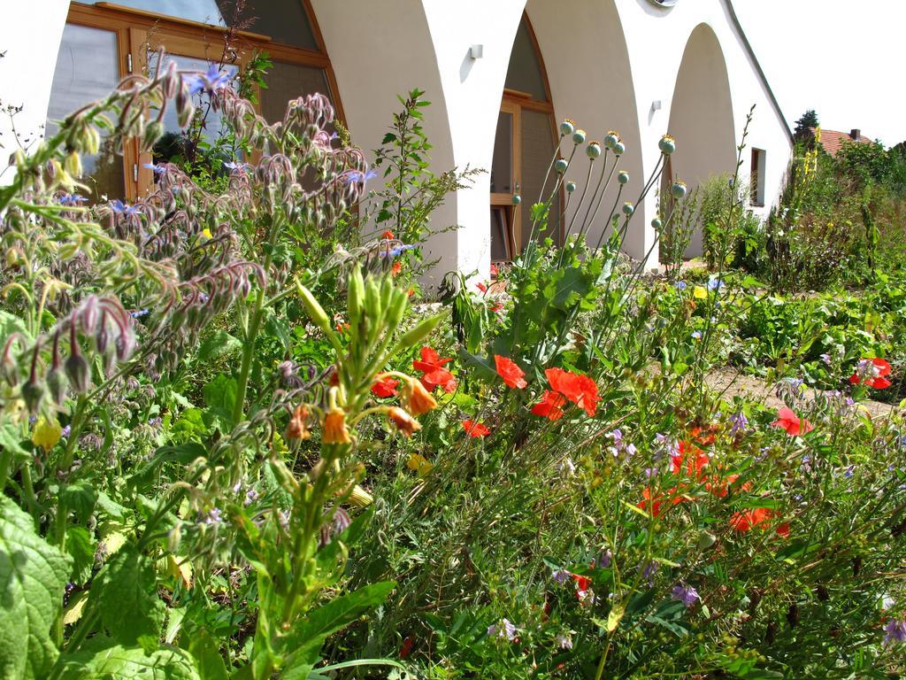 Gaestehaus Am Wangeliner Garten Eksteriør billede